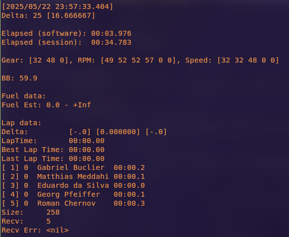 example output in the terminal